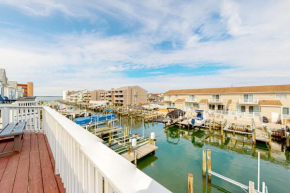 Dolphin Bay i